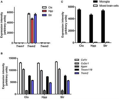 Divergent Neuroinflammatory Regulation of Microglial TREM Expression and Involvement of NF-κB